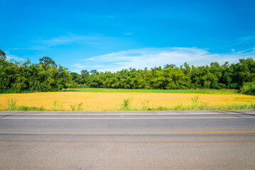 Fototapeta na wymiar Thailand country asphalt road side with golden rice field blue sky in sunny day background. Transportation, agriculture and nature landscape concept.