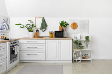 Interior of kitchen with modern furniture and houseplants near white wall
