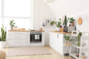 Interior of light stylish room with modern furniture and houseplants