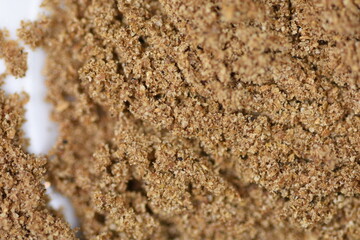 Coriander (Cilantro) powdered - Powdered coriander macro  detail ,