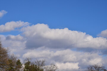 sky and clouds, trees