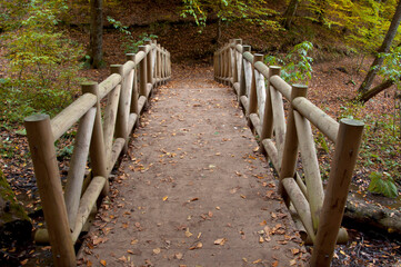 Autumn season in Bolu Yedigöller . wood bridge