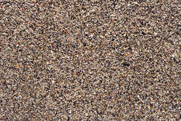 The sandy surface. The texture of the sea shore.