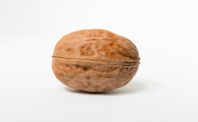 Walnuts are rounded, single-seeded stone fruits of the walnut tree.