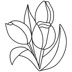 tulip flower hand-drawnline art illustration for web, wedsite, application, presentation, Graphics design, branding, etc.