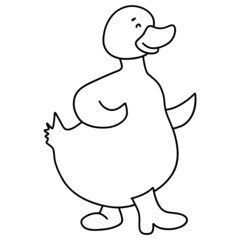 white duck hand-drawnline art illustration for web, wedsite, application, presentation, Graphics design, branding, etc.