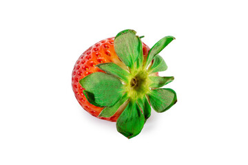 Strawberries isolated on white background.	
