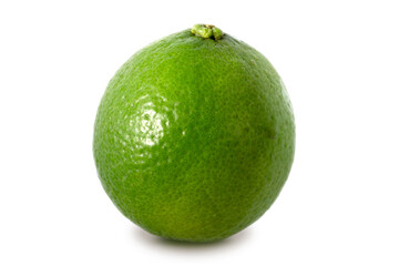 lime isolated on white background.	
