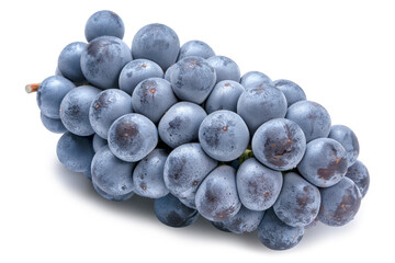 Kyoho Grape or Black Wine grape isolated on white background. Clipping path.	

