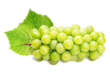 Fresh Organic Shine Muscat, Green Grapes with leaf isolated on white background with clipping path.	
