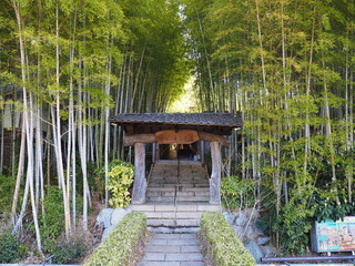 竹林の中にある宿の門