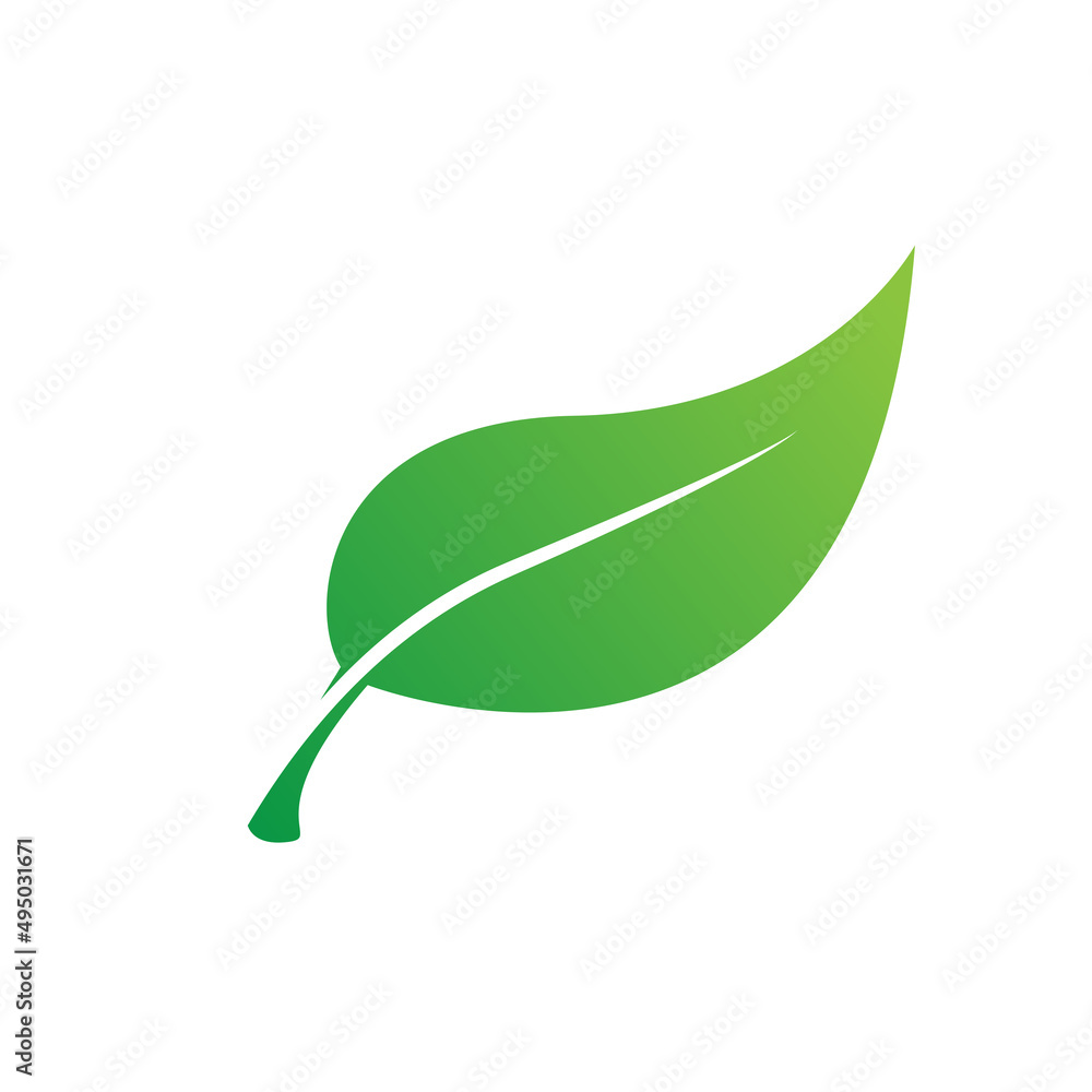 Wall mural Isolated green leaf for icon, logo, object and vector object for natural leaf design on white background