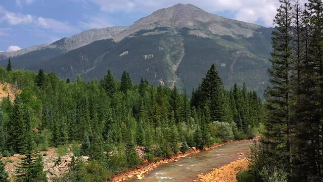 Aerial drone footage of a river on a sunny day, flowing through a pine tree forest with a mountain peak in the background.  A babbling brook.