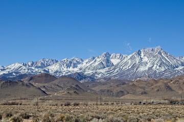 Sierra Nevada Snow Days