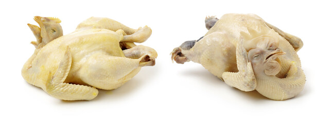 boiled chicken on a white background 