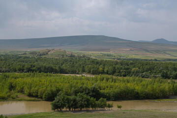 Fototapeta na wymiar beautiful view of the river and forest in georgia