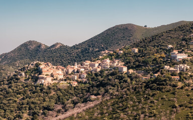 Fototapeta na wymiar The village of Belgodere in the Balagne region of Corsica
