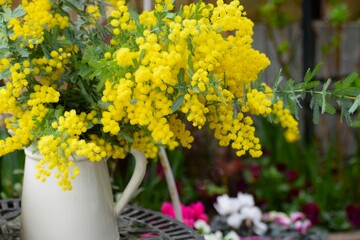 花瓶に入れたミモザの花と春の庭、春のガーデニングの風景