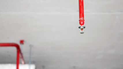 Close-up fire sprinkler on the ceiling for fire detection and alarm system equipment in building...