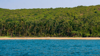 Beautiful landscape of the Indian ocean with coconut trees