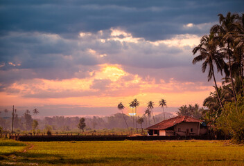 Indian house with traditional roof design at coastal side of Maharashtra