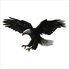 American eagle mascot swooping with claws out and wings outstretched. Four color version with only brown, light grey, yellow and black