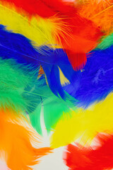 Fototapeta na wymiar colored feathers in various combinations, children's toy 