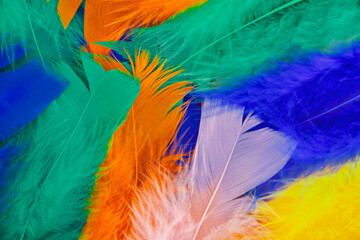 colored feathers in various combinations, children's toy 