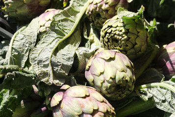 ripe green artichokes for sale from the greengrocers shop at the local market
