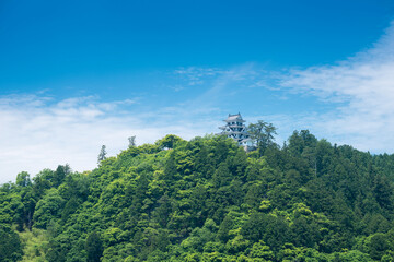 Obraz premium 城山に郡上八幡城