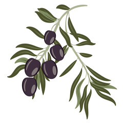 Dark olives on branch