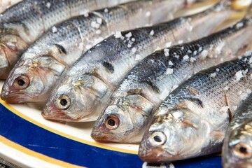 명태의 새끼 물고기 노가리, 안주 음식