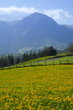 Meadows and Natural Park of the Aralar mountain range from Orendain, Euskadi
