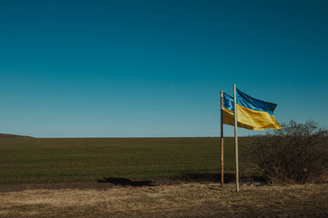 The flag of Ukraine develops against the backdrop of nature that has not yet awakened from winter. Ukraine.