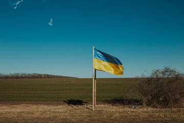 The flag of Ukraine develops against the backdrop of nature that has not yet awakened from winter. Ukraine.