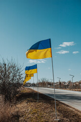 The flag of Ukraine develops against the backdrop of nature that has not yet awakened from winter. Ukraine.