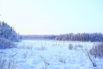 winter landscape trees covered with hoarfrost