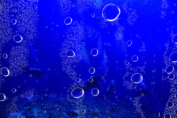 divers underwater at depth in the blue sea background