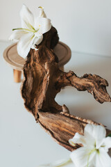 composition of driftwood and lily flowers