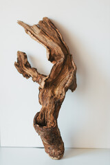 Piece of driftwood isolated on white