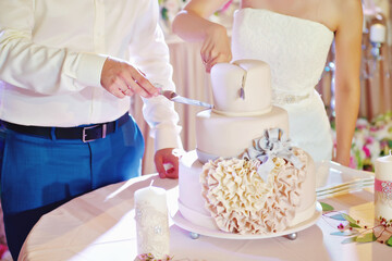 A bride and a groom cut their wedding cake. Married couple cuts a wedding cake with knife and...