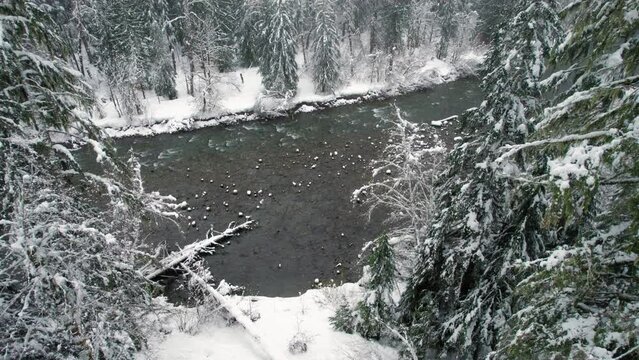 Slow Drone Floating Over Hazy River to Reveal Snowy Forest Trees