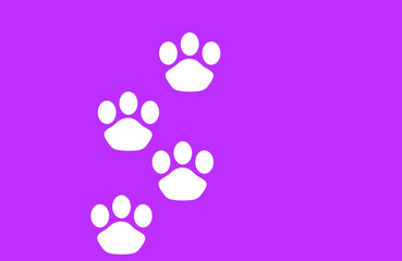 Cats Paw and Purple Background