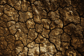 texture desert drought background abstract earth cracked warming global