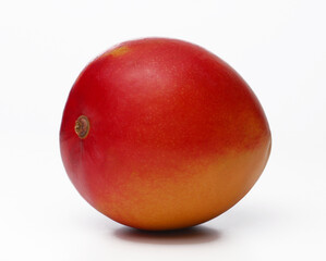 Single mango fruit isolated on white background.