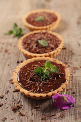 chocolate cake and mint leaf
