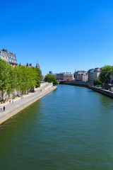 Obraz premium ポンヌフからセーヌ川を望む