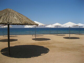 umbrellas on the beach