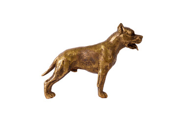 bronze pit bull terrier figurine isolated on white background