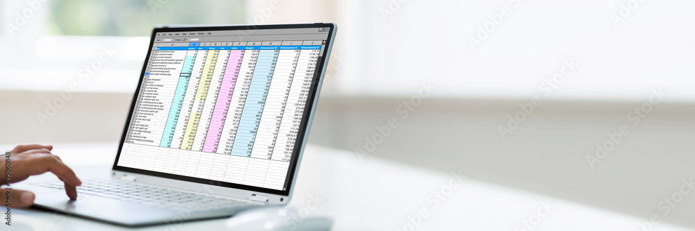 Poster Computer Spreadsheet. Analyst Employee Working